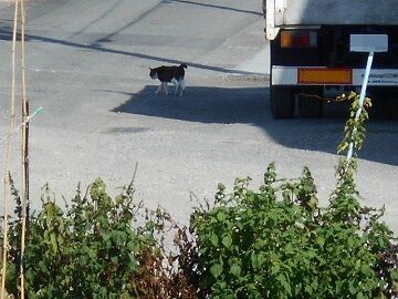 8月21日（14）使用