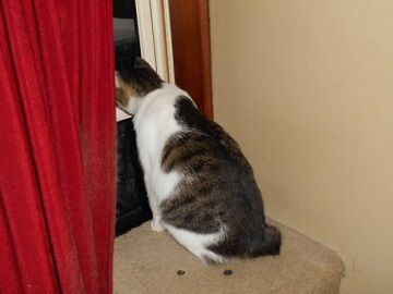 9月12日（22-6）仮