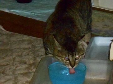 5月13日（59）仮