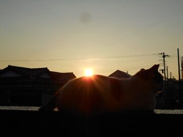 8月24日（18）仮