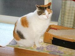 2月22日(39)仮