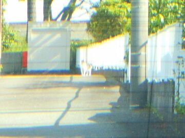 5月24日（19）仮