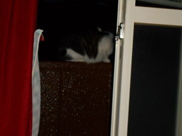 9月27日（5-9）仮