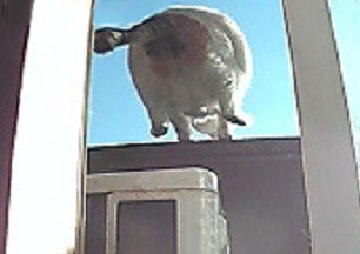 11月29日 (153)仮 - コピー