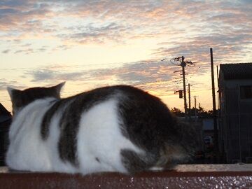 9月30日（15）仮