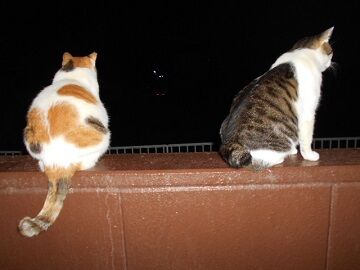 9月30日（23-12）