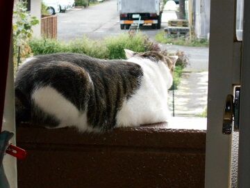 9月17日（6-7）仮