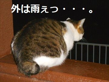 12月17日（3）仮