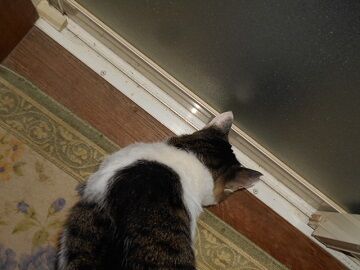 9月13日（23-5）仮