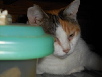 9月13日（6-2）仮