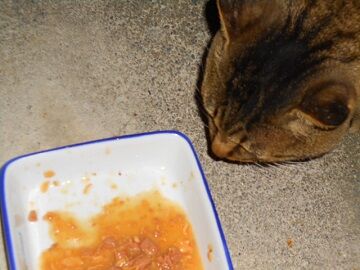 12月13日（57）仮