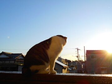 10月23日（35）仮