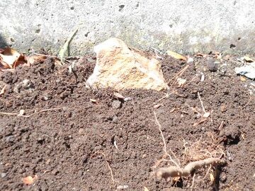 6月23日（28）仮