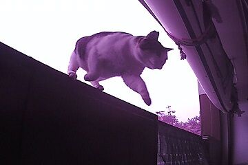 12月30日（5.2）仮