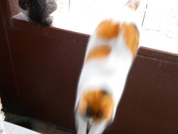 3月30日（28）仮