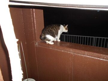 9月29日（0-9）仮