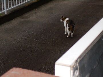 10月28日（1）仮