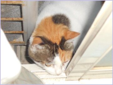 8月17日（13）仮