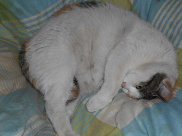 3月4日(22)