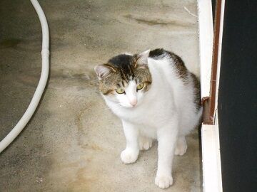 5月21日（12）仮