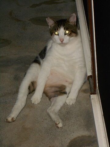 9月14日（5-8）仮