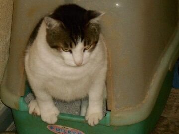 7月30日（25）仮