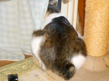 6月12日（22）仮