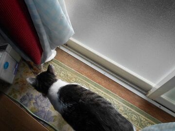 9月16日（10-11）仮