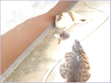 10月7日（21）仮