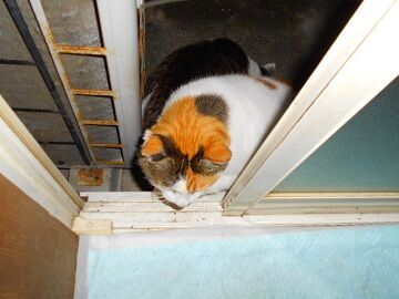 12月24日（49仮）