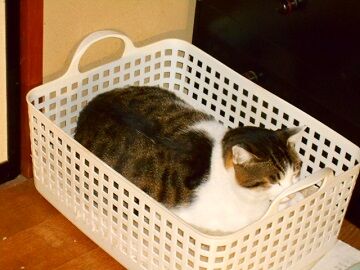 12月12日（4）仮