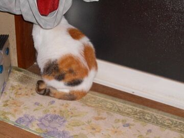 10月7日（22-18）仮