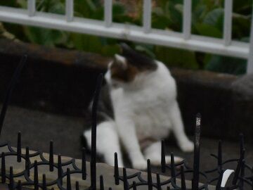 10月2日（16-6）仮