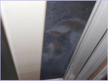 8月25日（17）仮