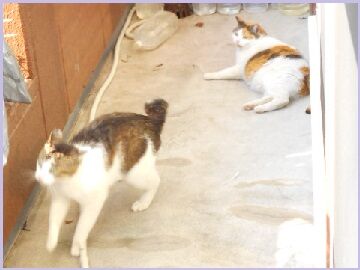 5月23日（39）仮