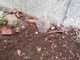 9月22日（11-4）仮