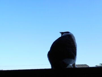 12月17日（13）仮