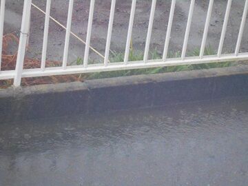 11月11日（25）仮