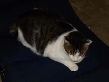 9月7日（20-7）仮