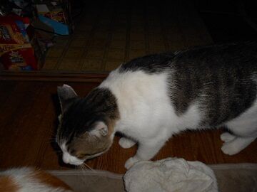 9月27日（18-18）