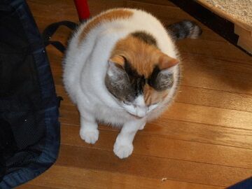 9月22日（6-7）仮