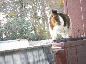 12月24日（6）仮