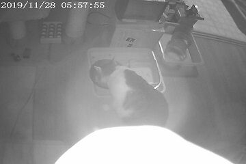 11月28日（40）仮