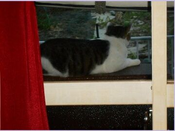 8月17日（19）仮