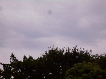 9月21日（6-3）仮