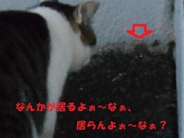 8月24日(16)仮 (2)