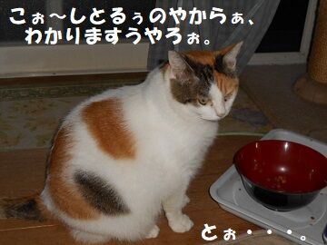 9月25日（6-9）仮