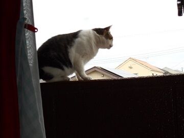 10月2日（15-14）仮