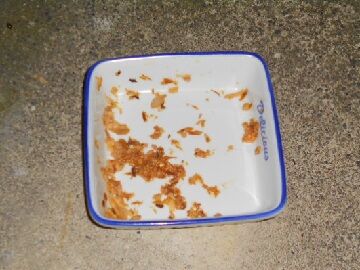 12月24日（44）仮