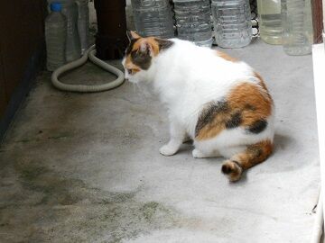 9月16日（10-2）仮